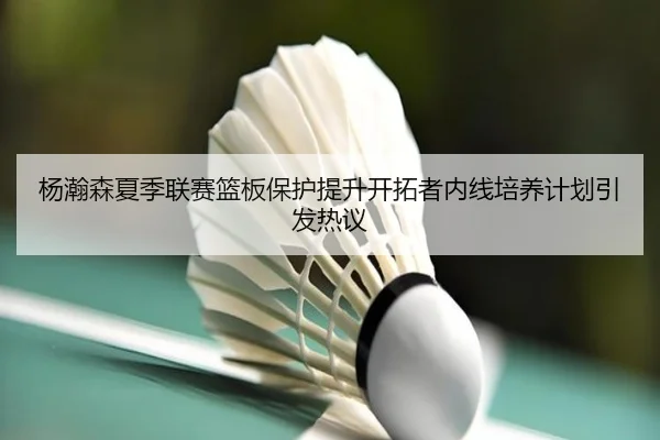 杨瀚森夏季联赛篮板保护提升开拓者内线培养计划引发热议