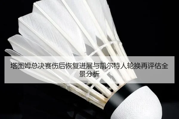 塔图姆总决赛伤后恢复进展与凯尔特人轮换再评估全景分析